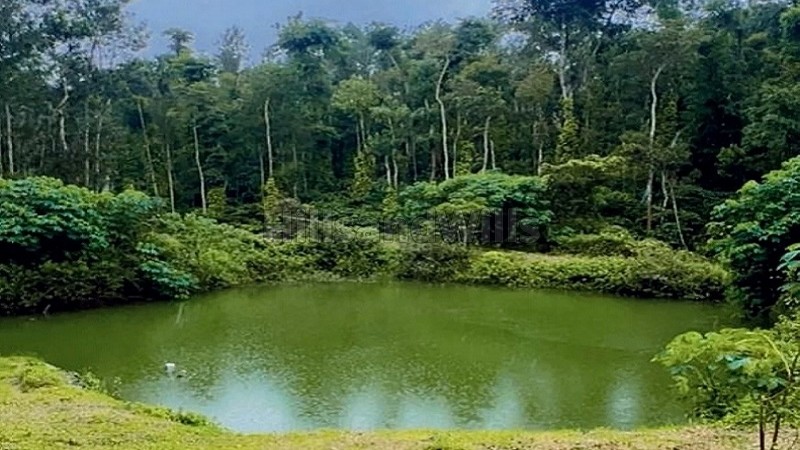 ₹20 Cr&nbsp;|&nbsp;25 acres coffee estate for sale  in sakleshpur near chikmagalur