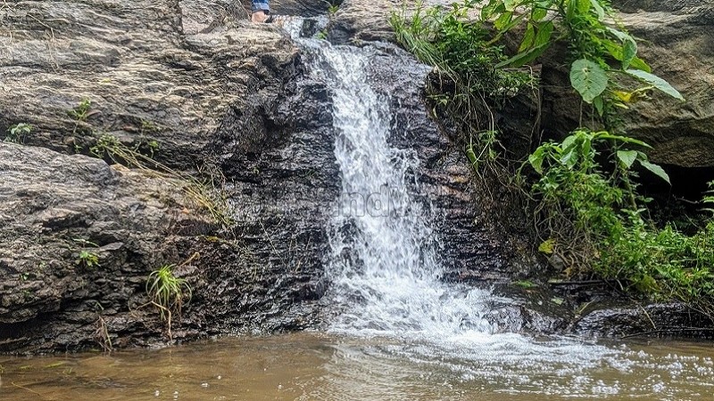 ₹20 Cr&nbsp;|&nbsp;25 acres coffee estate for sale  in sakleshpur near chikmagalur