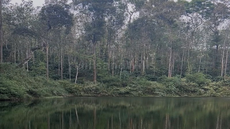 ₹20 Cr&nbsp;|&nbsp;25 acres coffee estate for sale  in sakleshpur near chikmagalur