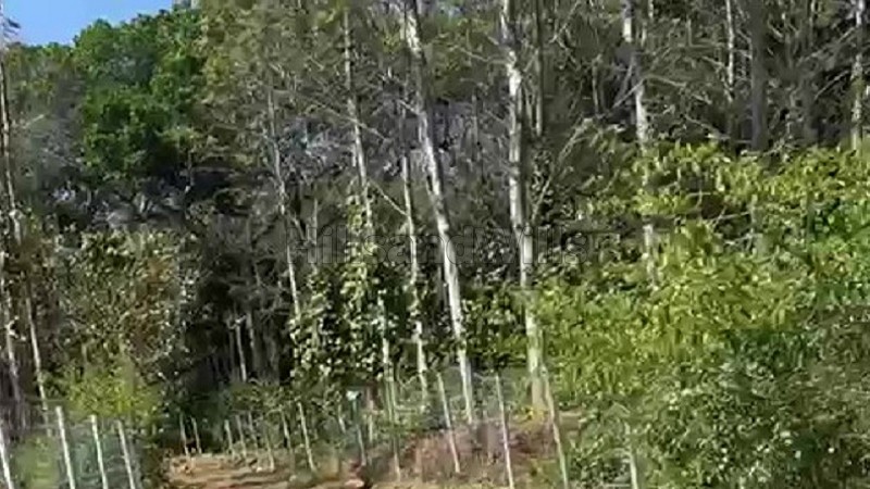 ₹70 Lac | 1 acres agriculture land for sale in ariyur nadu kolli hills