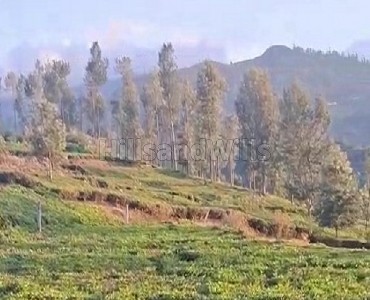 10.5 cents  land for sale  in kotagiri