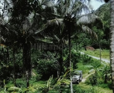 2 acres agriculture land for sale  in vellathooval idukki