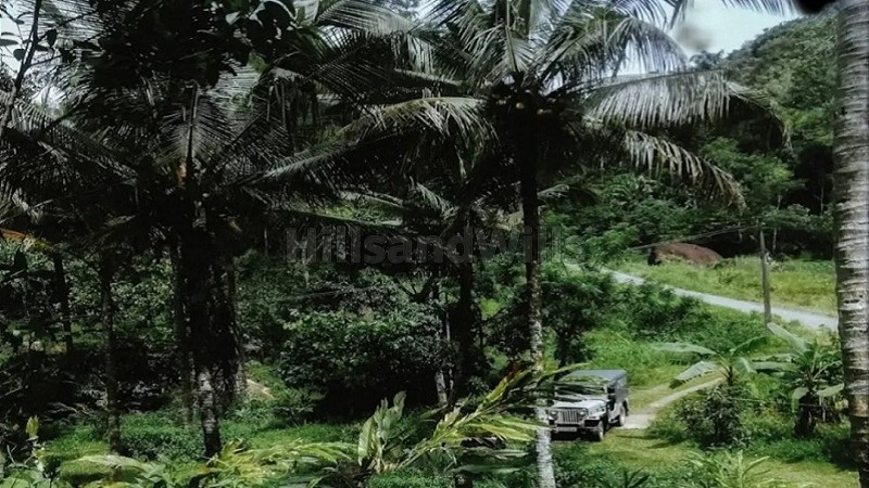 ₹1.20 Cr | 2 acres agriculture land for sale in vellathooval idukki