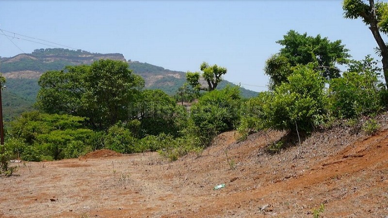 ₹2.48 Cr&nbsp;|&nbsp;55 guntha agriculture land for sale  in kumbhroshi, wada. mahabaleshwar