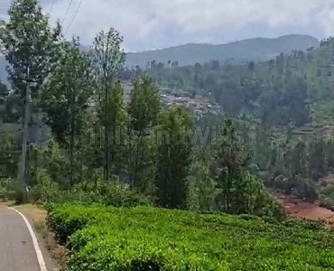 25 cents  land for sale  in kotagiri