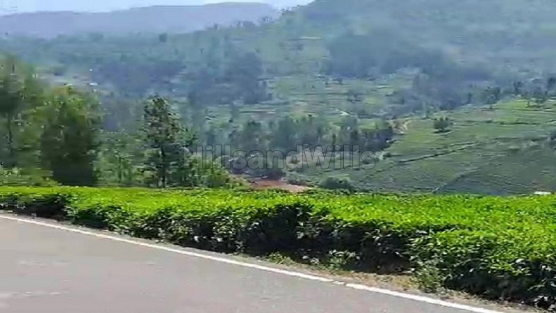 ₹57.50 Lac&nbsp;|&nbsp;25 cents  land for sale  in kotagiri