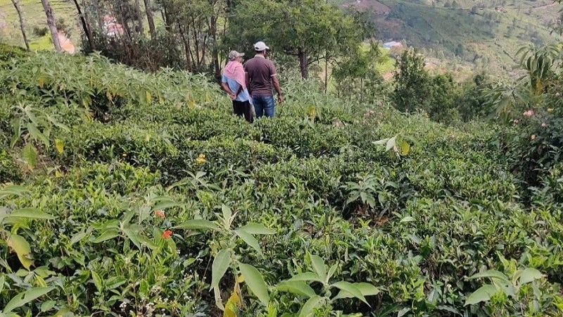 ₹5 Lac&nbsp;|&nbsp;10 cents  land for sale  in naduhatty kotagiri