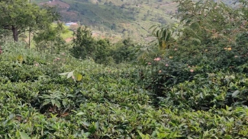 ₹5 Lac&nbsp;|&nbsp;10 cents  land for sale  in naduhatty kotagiri