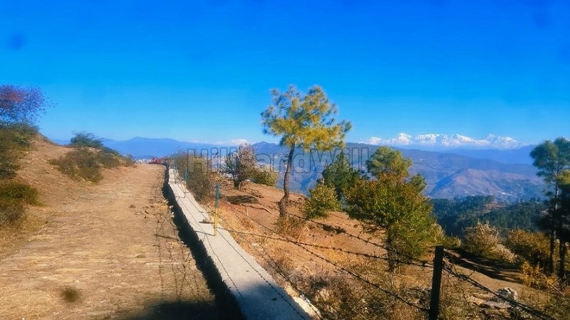 ₹50 Lac&nbsp;|&nbsp;10500 sq.ft.  residential land for sale  in palna, almora near nainital
