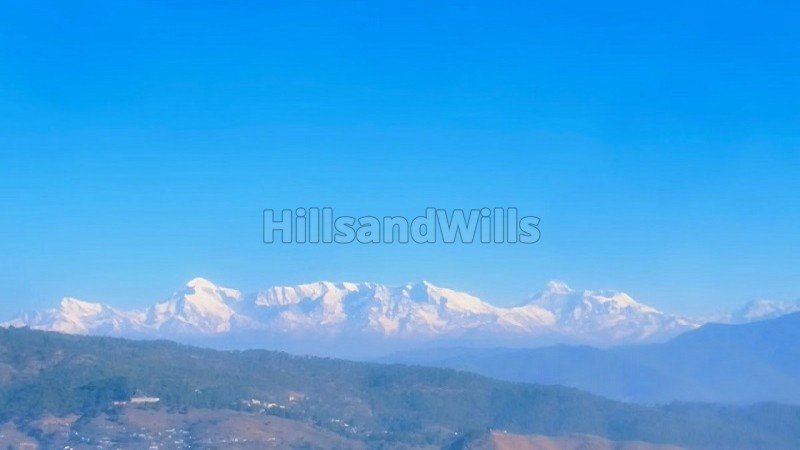 ₹50 Lac&nbsp;|&nbsp;10500 sq.ft.  residential land for sale  in palna, almora near nainital