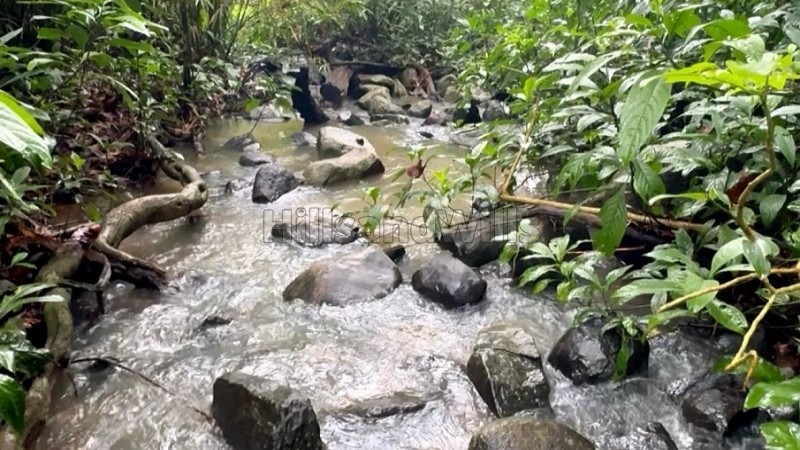 ₹70 Lac | 2.22 acres coffee land for sale in koothi coorg