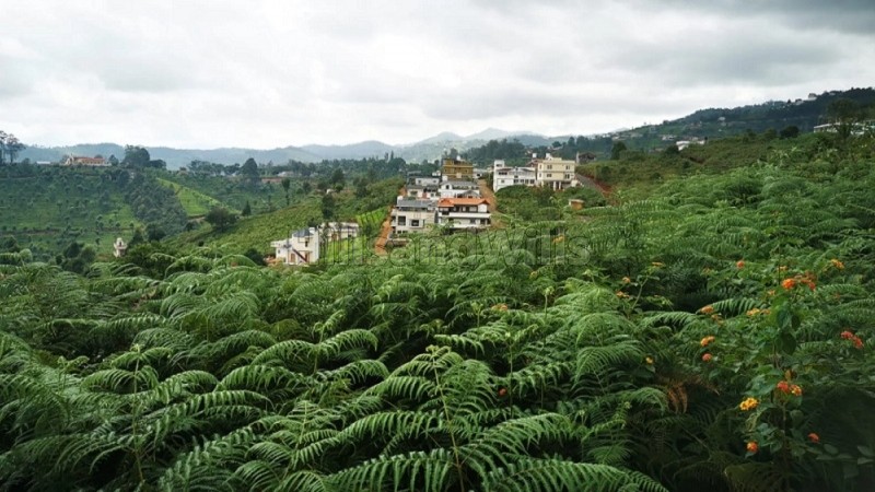 ₹67.50 Lac&nbsp;|&nbsp;4500 sq.ft.  gated community plots for sale  in selas coonoor