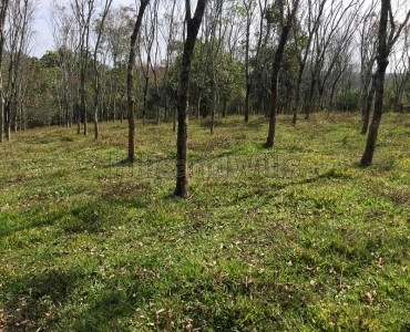 4.75 acres residential plot for sale  in mananthavady wayanad