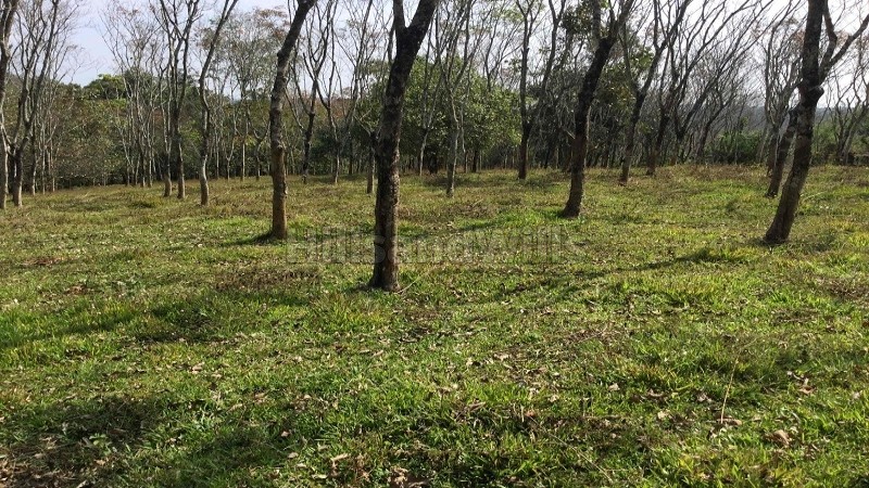 ₹2.14 Cr&nbsp;|&nbsp;4.75 acres residential plot for sale  in mananthavady wayanad