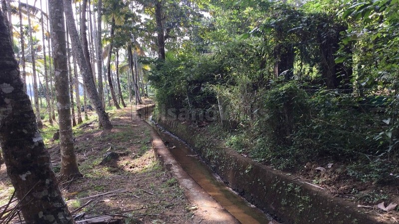 ₹2.14 Cr&nbsp;|&nbsp;4.75 acres residential plot for sale  in mananthavady wayanad