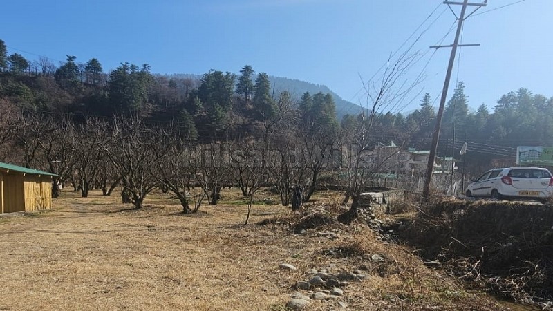 ₹3.70 Cr | 37 biswa plum orchard for sale in patlikuhal-naggar kullu-manali