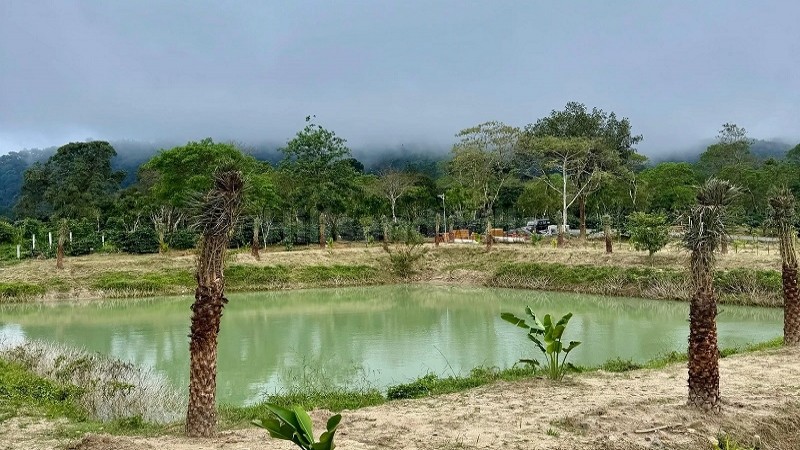 ₹36 Lac&nbsp;|&nbsp;6000 sq.ft.  gated community coffee farm plots for sale  in virajpet coorg