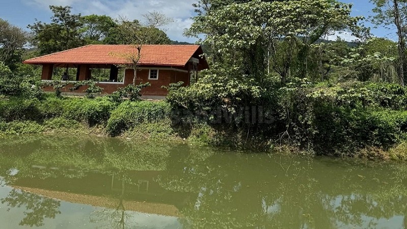 ₹36 Lac&nbsp;|&nbsp;6000 sq.ft.  gated community coffee farm plots for sale  in virajpet coorg