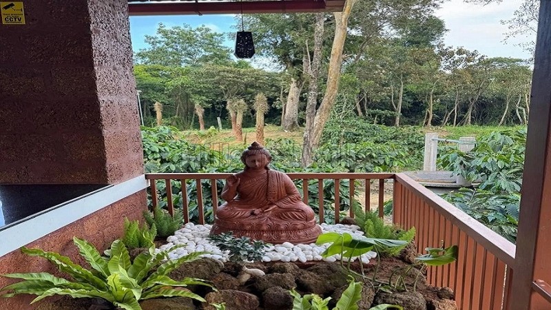 ₹36 Lac&nbsp;|&nbsp;6000 sq.ft.  gated community coffee farm plots for sale  in virajpet coorg