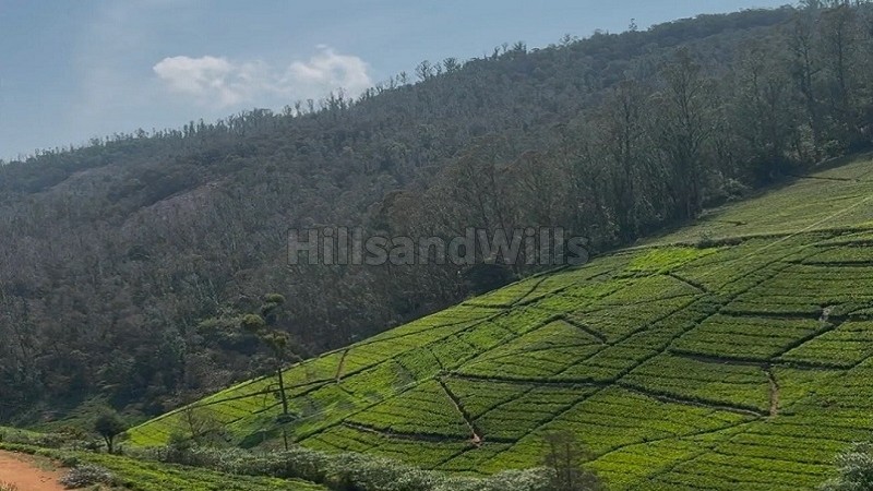 ₹66 Lac | 22 cents agriculture land for sale in kattabettu kotagiri