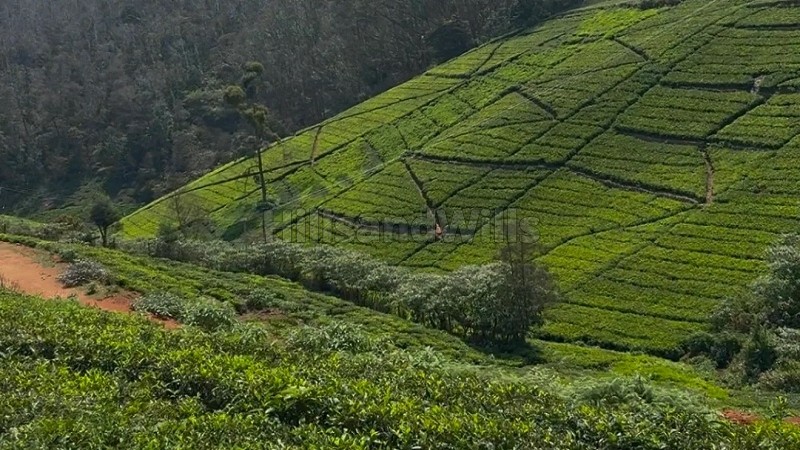 ₹66 Lac | 22 cents agriculture land for sale in kattabettu kotagiri