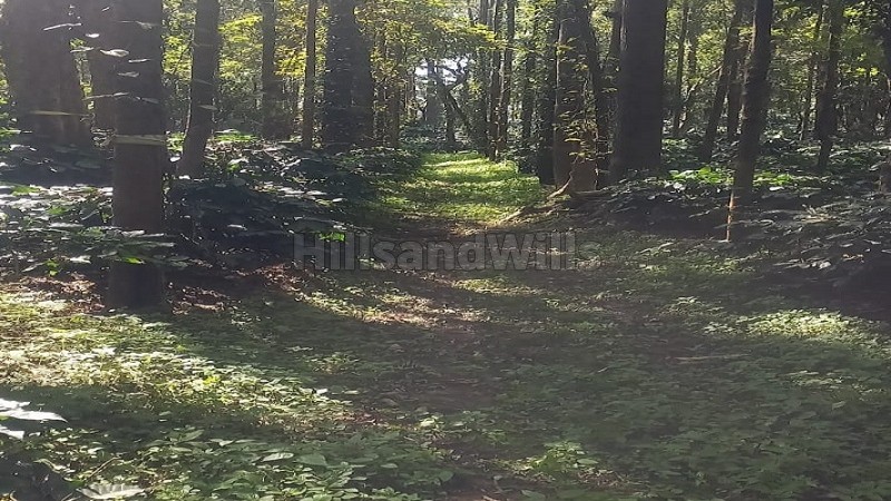 ₹20 Cr&nbsp;|&nbsp;50 acres coffee estate for sale  in somwarpet coorg