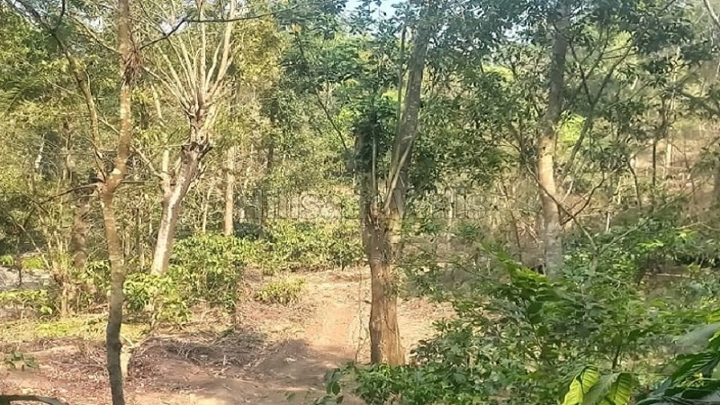 ₹20 Cr&nbsp;|&nbsp;50 acres coffee estate for sale  in somwarpet coorg
