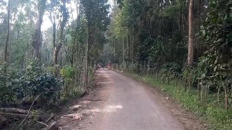 ₹20 Cr&nbsp;|&nbsp;50 acres coffee estate for sale  in somwarpet coorg