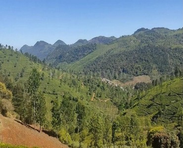 0.84 cents agriculture land for sale  in benkal tea estate area coonoor