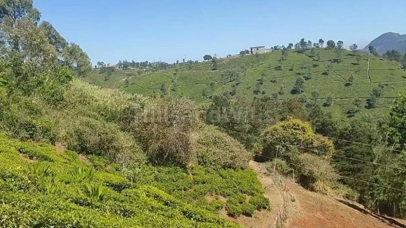 ₹1.85 Cr | 0.84 cents agriculture land for sale in benkal tea estate area coonoor