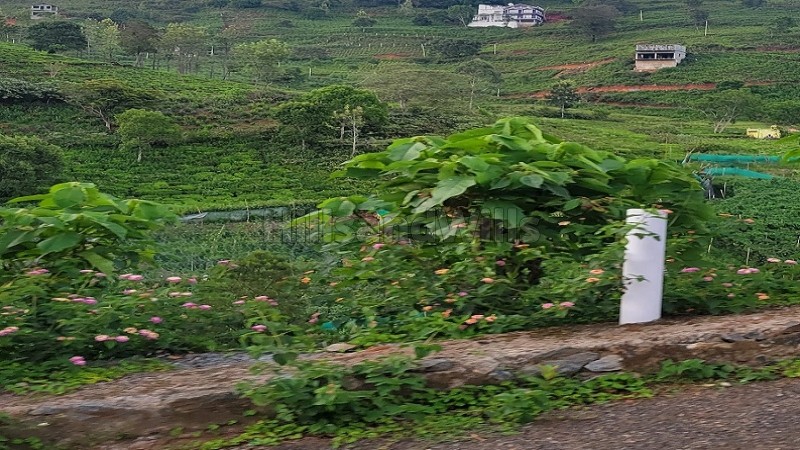₹12.90 Lac&nbsp;|&nbsp;1000 sq.ft. residential plot for sale  in selas coonoor
