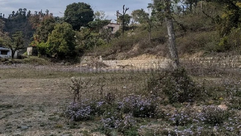 ₹7 Cr&nbsp;|&nbsp;3100 gaj agriculture land for sale  in garhi cantt dehradun