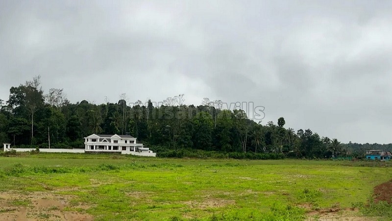 ₹9.50 Cr&nbsp;|&nbsp;4.36 acres residential plot for sale  in napoklu near madikeri, coorg
