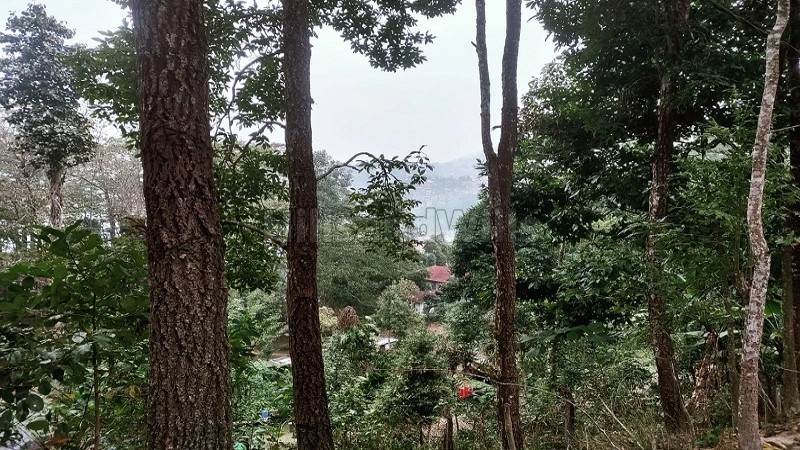 ₹4 Cr&nbsp;|&nbsp;2900 sq.meter  himalayan view residential plot for sale  in kalimpong darjeeling