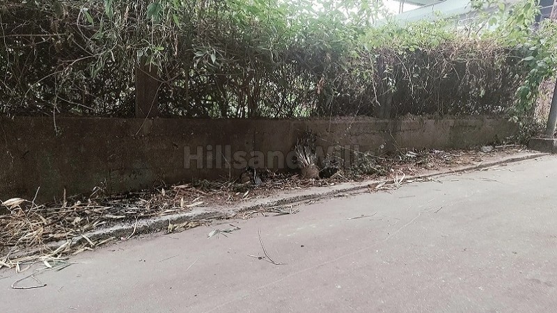 ₹4 Cr&nbsp;|&nbsp;2900 sq.meter  himalayan view residential plot for sale  in kalimpong darjeeling