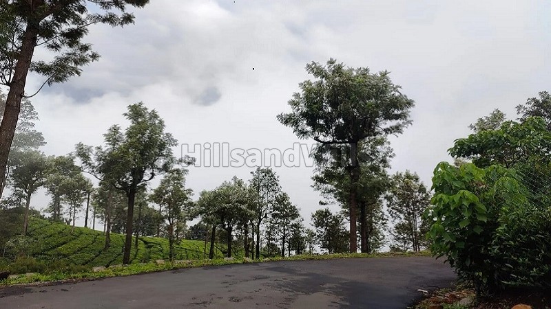 ₹90 Lac&nbsp;|&nbsp;10 cents residential plot for sale  near bedford coonoor