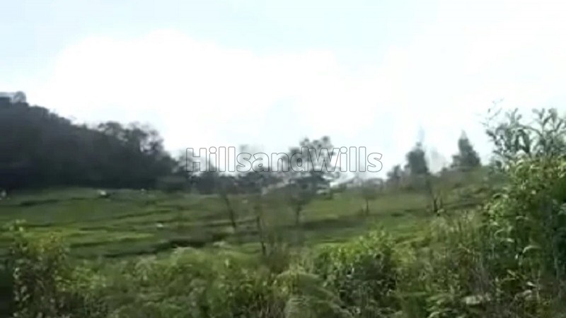 ₹6.50 Cr&nbsp;|&nbsp;3.25 acres tea estate for sale  near kodanad kotagiri