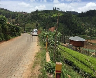67 cents agriculture land for sale  in kallkoria road ooty