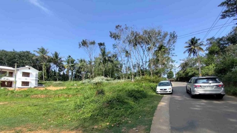 ₹30 Lac&nbsp;|&nbsp;10 cents residential plot for sale  in kambalakkad wayanad