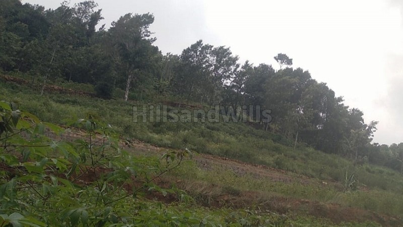 ₹60 Lac | 86 cents avacoda farm for sale in perakkarainadu kolli hills