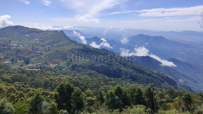 ₹1.80 Cr&nbsp;|&nbsp;36 cents tea estate for sale  near sim's park coonoor