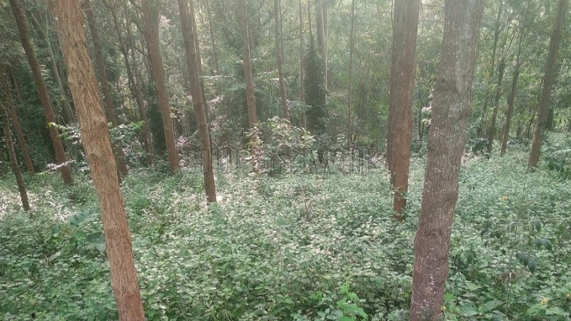 ₹75.73 Lac&nbsp;|&nbsp;11652 sq.ft. agriculture land for sale  in semmanatham yercaud