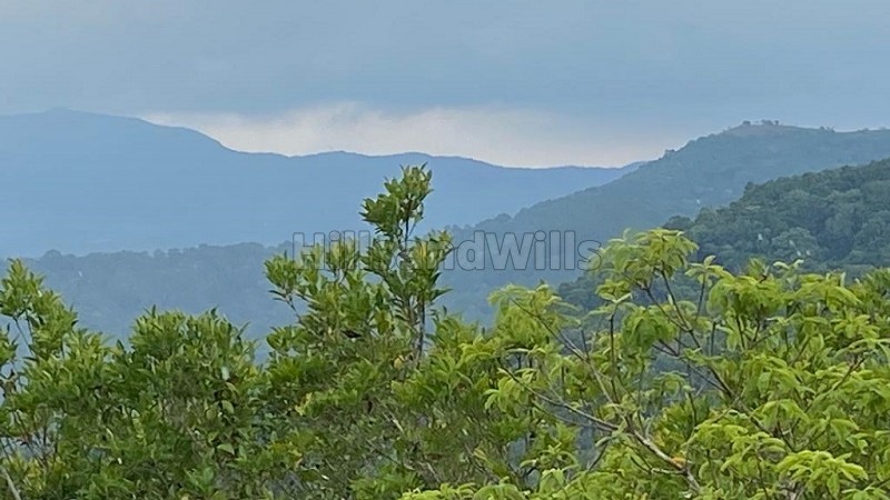 ₹4 Cr&nbsp;|&nbsp;3bhk farm house for sale  in madikeri coorg