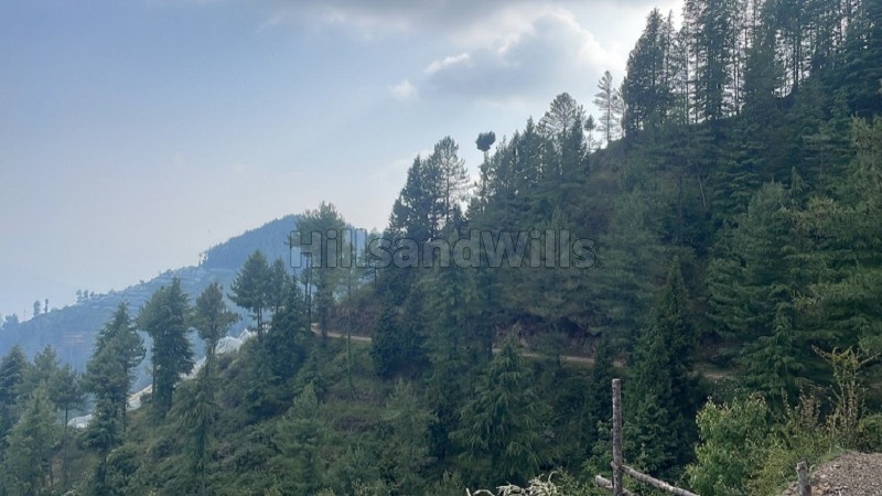 ₹2.20 Cr&nbsp;|&nbsp;8 bigha residential plot for sale  in theog shimla
