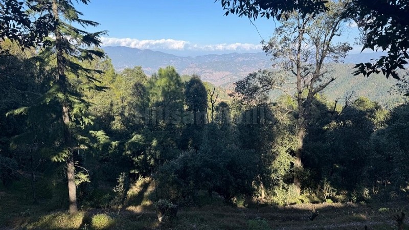 ₹75 Lac&nbsp;|&nbsp;750 sq.meter residential plot for sale  in paudhar, almora near nainital