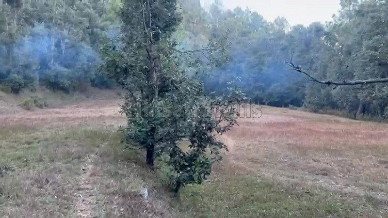 ₹75 Lac&nbsp;|&nbsp;750 sq.meter residential plot for sale  in paudhar, almora near nainital