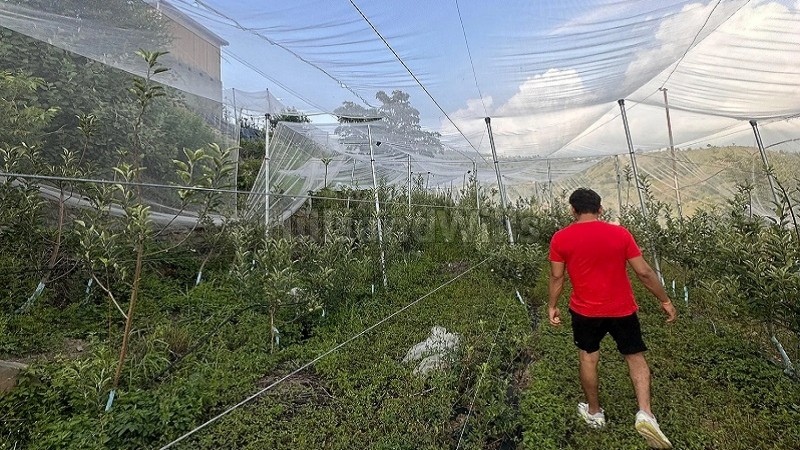 ₹6.50 Cr&nbsp;|&nbsp;2bhk  apple orchard farm house for sale  in tehri near mussoorie