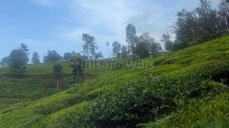 ₹2 Cr&nbsp;|&nbsp;1.02 acres agriculture land for sale  in adigaratty near coonoor