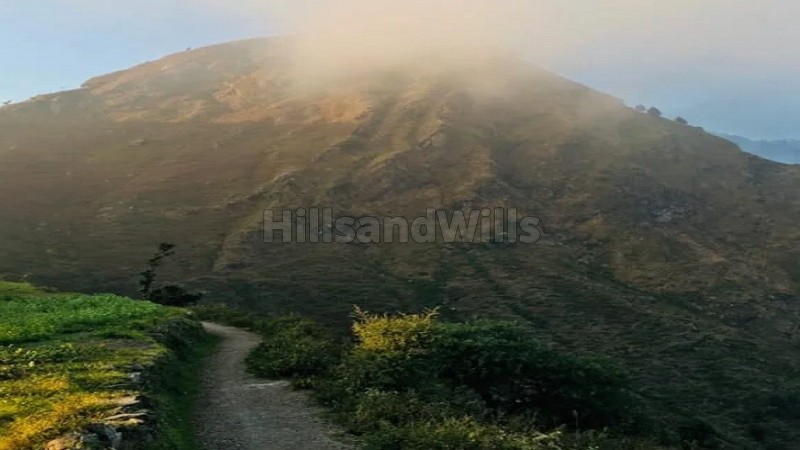 ₹75 Lac | 316 sq.yards himalayan view residential plot for sale in kaphlani mussoorie