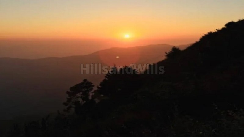 ₹75 Lac | 316 sq.yards himalayan view residential plot for sale in kaphlani mussoorie